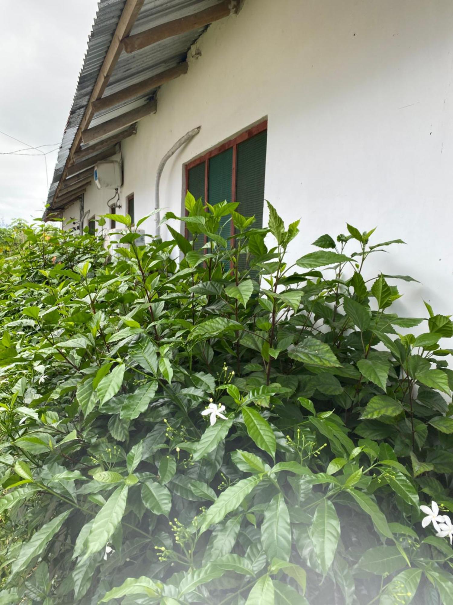 Falcon House Kendwa Bed & Breakfast Exterior photo